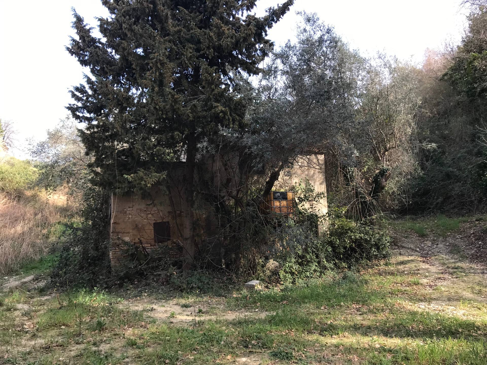 Rustico - Cascina CUPRA MARITTIMA vendita    Immobiliare Mare e Colline srl