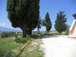 Rustici e Casali in vendita a Offida