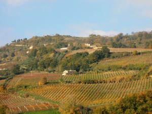 Rustici e Casali in vendita a Ripatransone