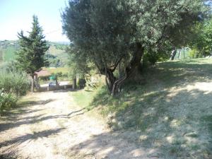 Rustici e Casali in vendita a Monteprandone