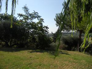 Rustici e Casali in vendita a Monteprandone