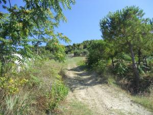 Rustici e Casali in vendita a Monteprandone