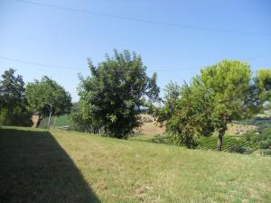 Rustici e Casali in vendita a Monteprandone