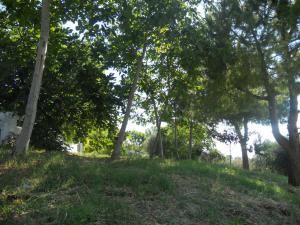 Rustici e Casali in vendita a Monteprandone