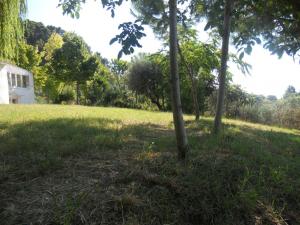 Rustici e Casali in vendita a Monteprandone