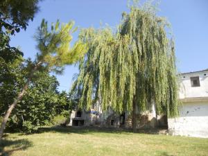 Rustici e Casali in vendita a Monteprandone