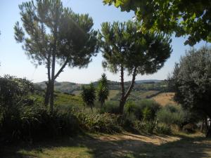 Rustici e Casali in vendita a Monteprandone