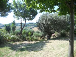 Rustici e Casali in vendita a Monteprandone