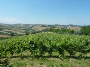 Luxury Villas for sale in Roseto degli Abruzzi