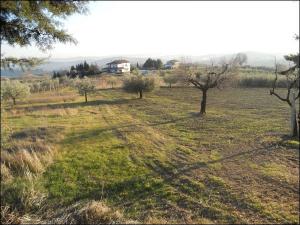 Rustici e Casali in vendita a Offida