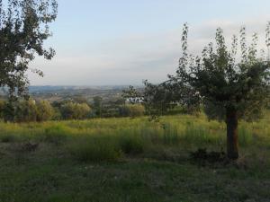 Rustici e Casali in vendita a Offida