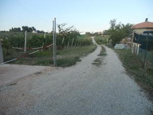 Rustici e Casali in vendita a Offida