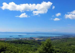 Ville di Prestigio in vendita a Tuoro sul Trasimeno