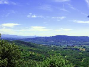 Rustici e Casali in vendita a Panicale