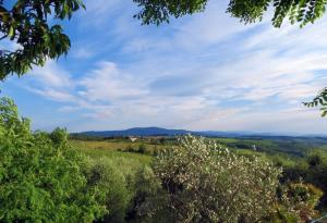 Rustici e Casali in vendita a Castellina in Chianti