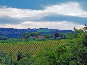 Rustici e Casali in vendita a Castellina in Chianti