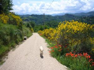 Ville di Prestigio in vendita a Ascoli Piceno