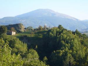 Ville di Prestigio in vendita a Ascoli Piceno