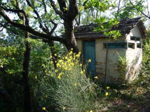Ville di Prestigio in vendita a Ascoli Piceno