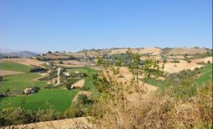 Rustici e Casali in vendita a Rotella