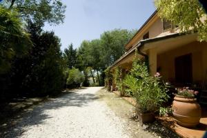Rustici e Casali in vendita a Cossignano