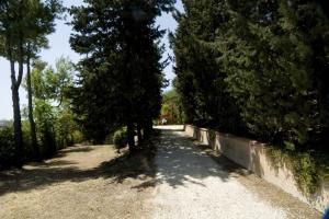 Rustici e Casali in vendita a Cossignano