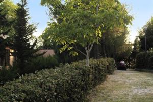 Rustici e Casali in vendita a Cossignano