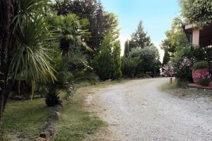 Rustici e Casali in vendita a Cossignano