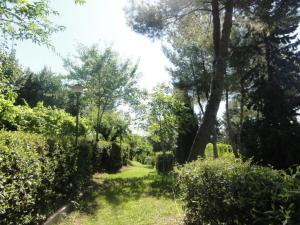 Rustici e Casali in vendita a Cossignano