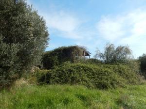 Rustici e Casali in vendita a Cupra Marittima