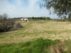 Rustici e Casali in vendita a Cupra Marittima