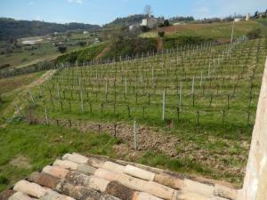 Rustici e Casali in vendita a Ripatransone