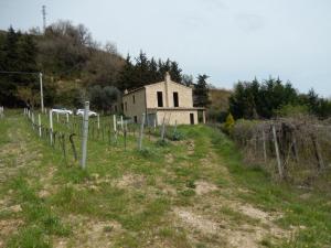 Rustici e Casali in vendita a Ripatransone