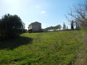 Rustici e Casali in vendita a Cupra Marittima