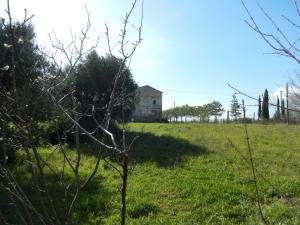 Rustici e Casali in vendita a Cupra Marittima
