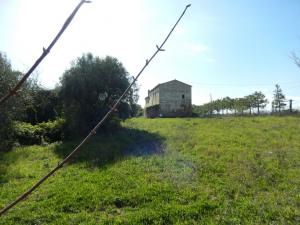 Rustici e Casali in vendita a Cupra Marittima