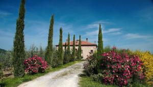 Rustici e Casali in vendita a Montepulciano