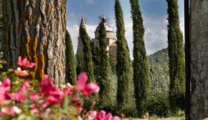 Rustici e Casali in vendita a Montepulciano