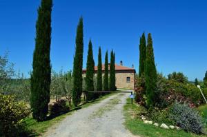 Rustici e Casali in vendita a Montepulciano