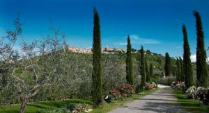 Rustici e Casali in vendita a Montepulciano