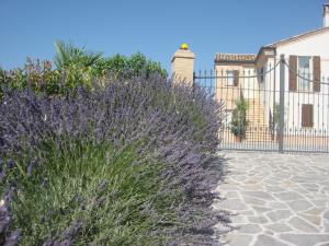 Rustici e Casali in affitto a Montefiore dell'Aso