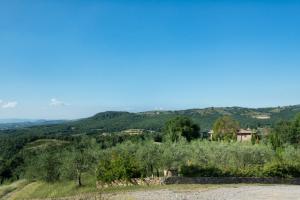 Rustici e Casali in vendita a Piegaro