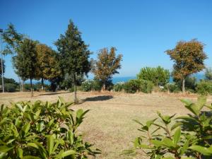 Ville di Prestigio in vendita a Colonnella