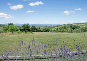Rustici e Casali in vendita a Montepulciano