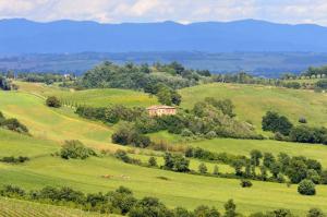 Rustici e Casali in vendita a Montepulciano