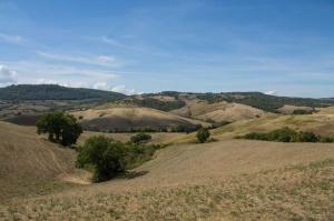 Rustici e Casali in vendita a Montepulciano