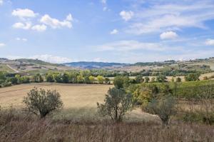 Rustici e Casali in vendita a Montepulciano