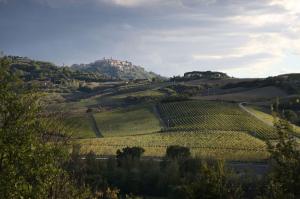 Rustici e Casali in vendita a Montepulciano
