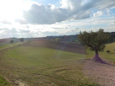 Rustici e Casali in vendita a Monteprandone