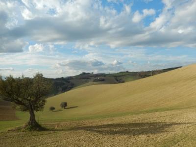 Rustici e Casali in vendita a Monteprandone